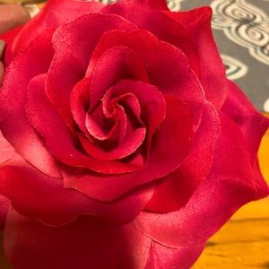 Fuchsia Rose pin
